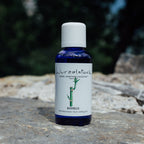 Aromaöl Bambus