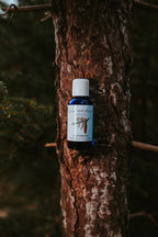 Ätherisches Öl Fichtennadel