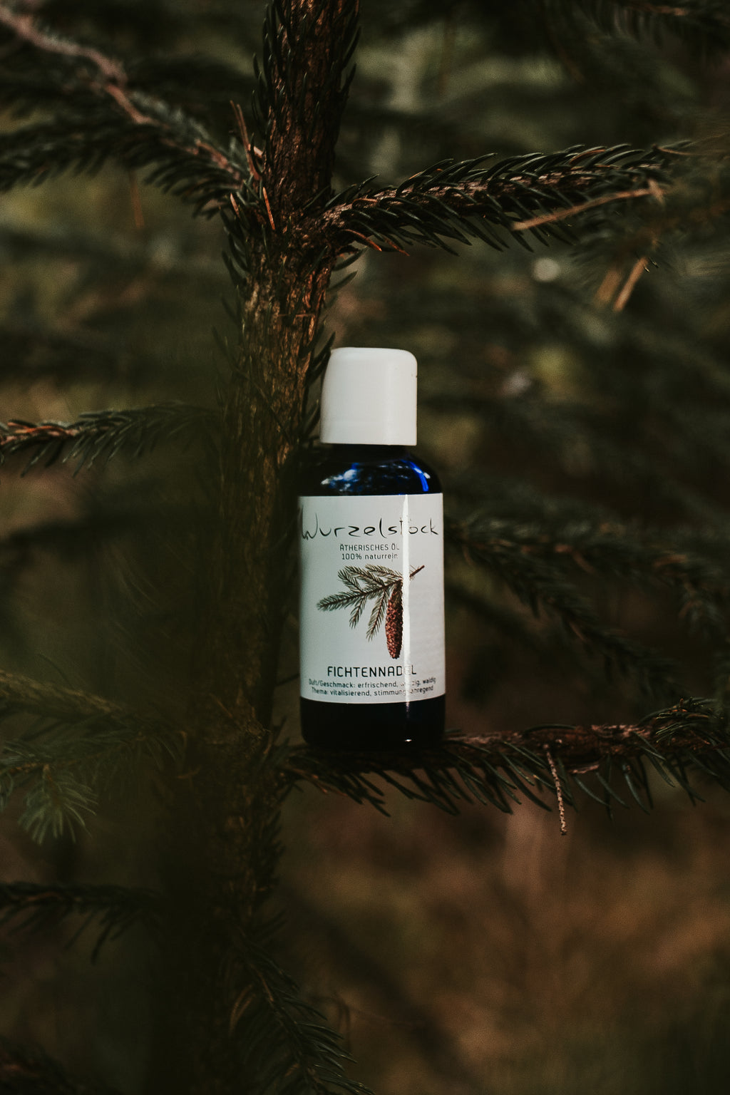 Ätherisches Öl Fichtennadel