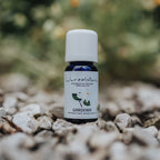 Ätherisches Öl Gardenia