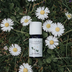 Ätherisches Öl Gardenia