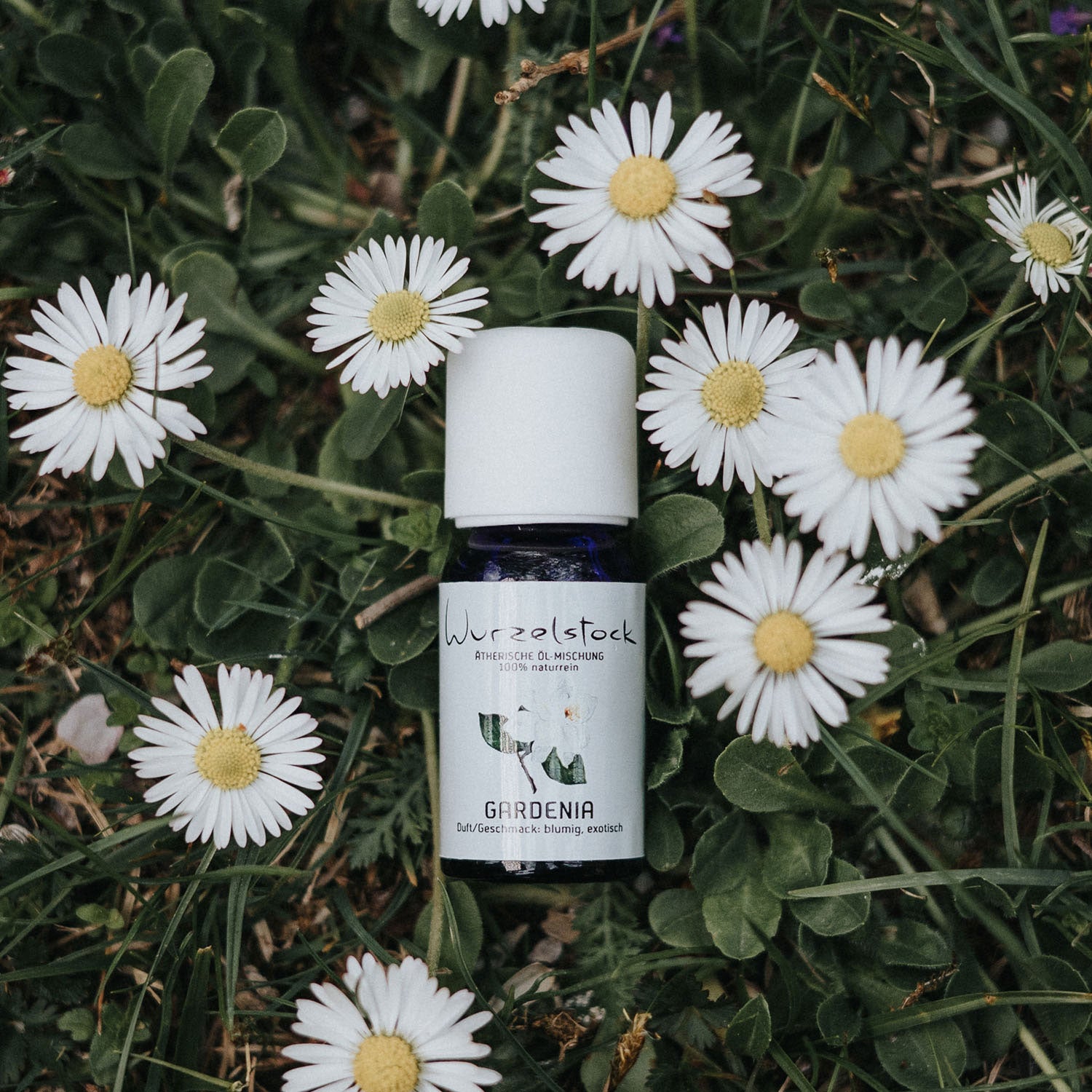 Ätherisches Öl Gardenia