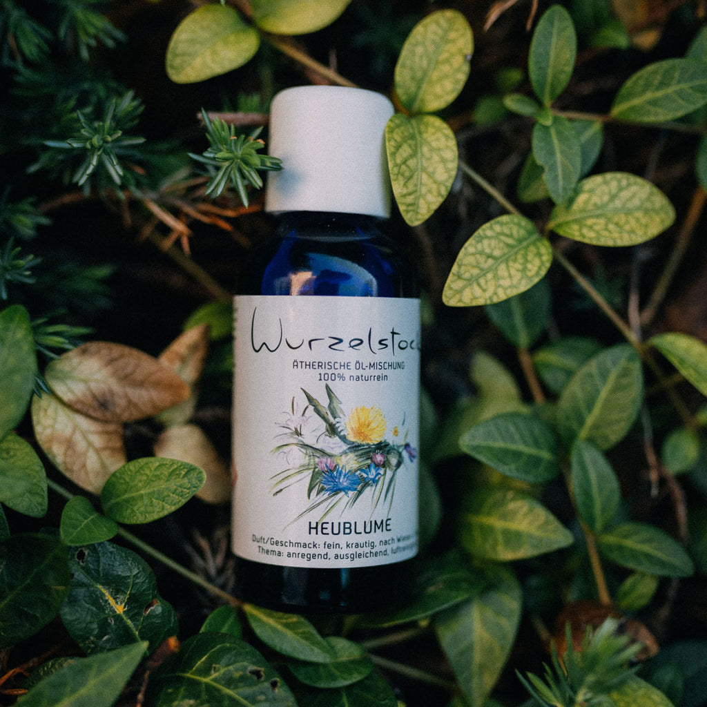Ätherisches Öl Heublume