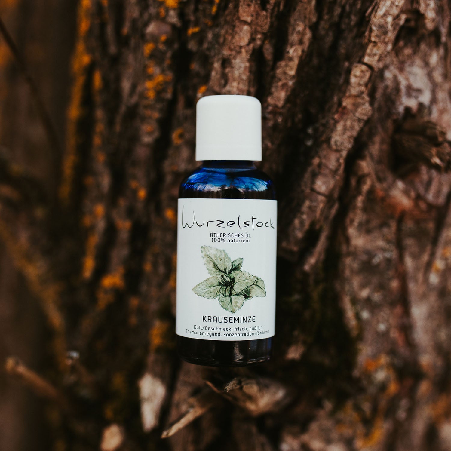Ätherisches Öl Krauseminze