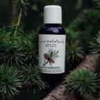 Ätherisches Öl Latschenkiefer