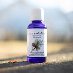 Ätherisches Öl Latschenkiefer