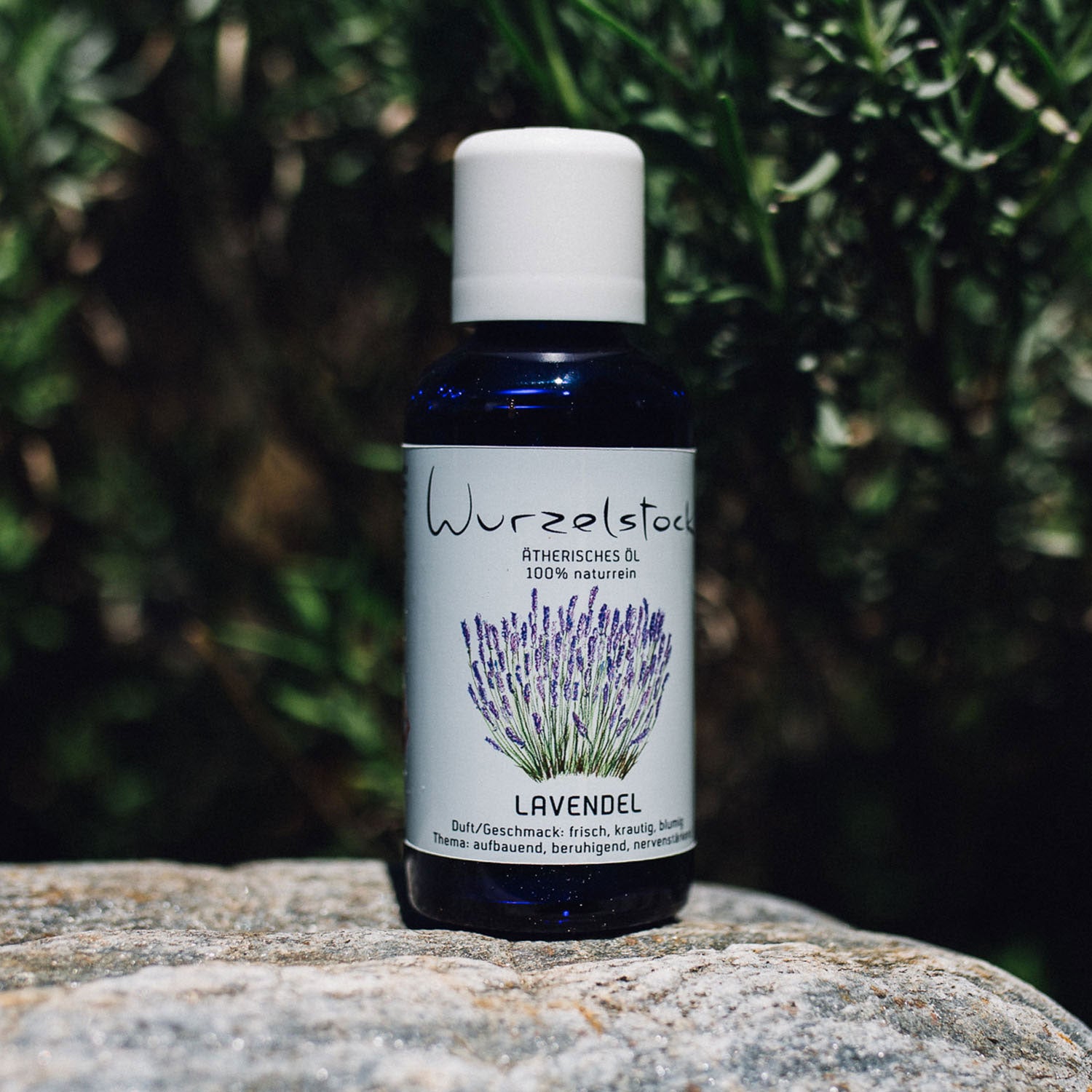 Ätherisches Öl Lavendel (Lavandin)