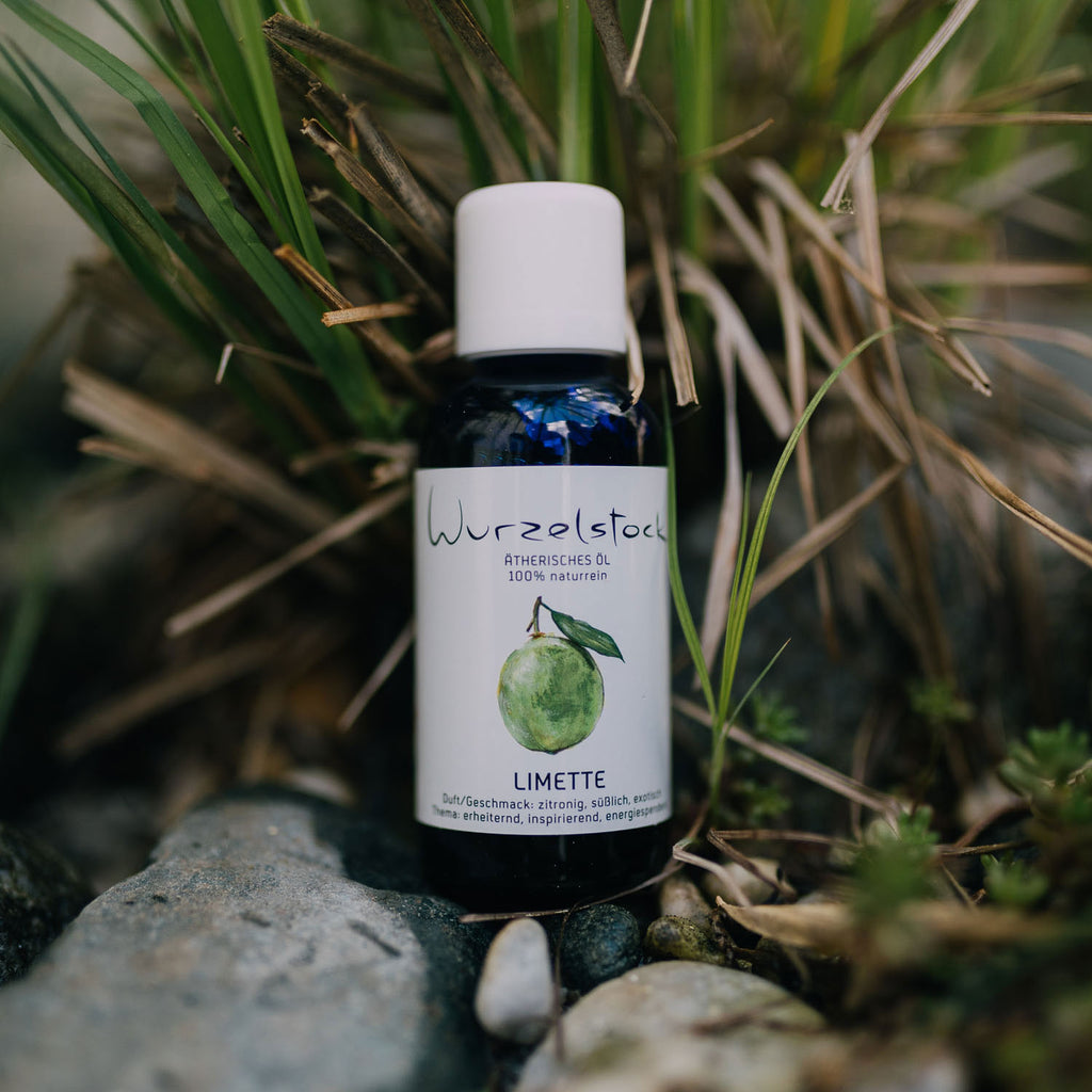 Ätherisches Öl Limette
