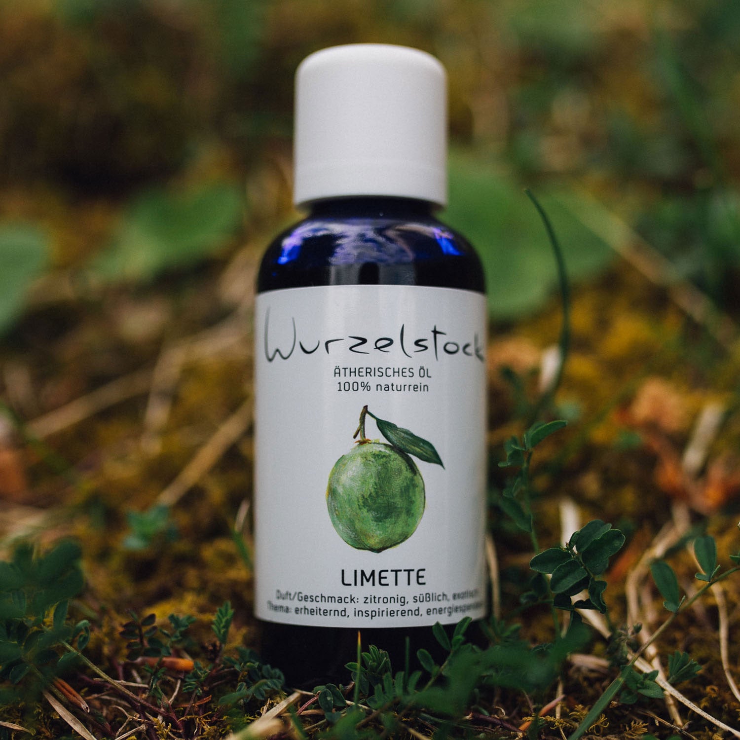 Ätherisches Öl Limette