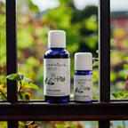 Ätherisches Öl Litsea cubeba