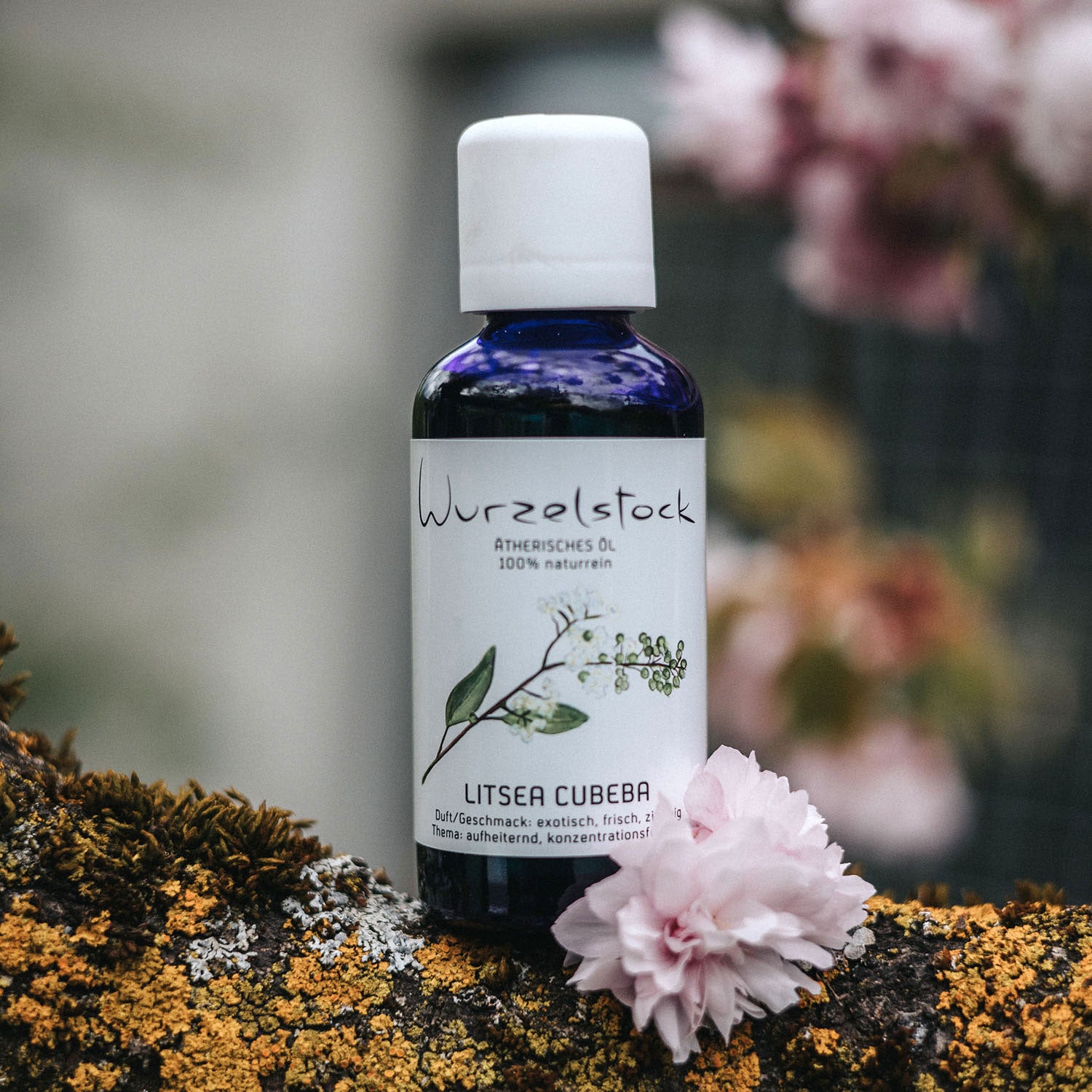Ätherisches Öl Litsea cubeba