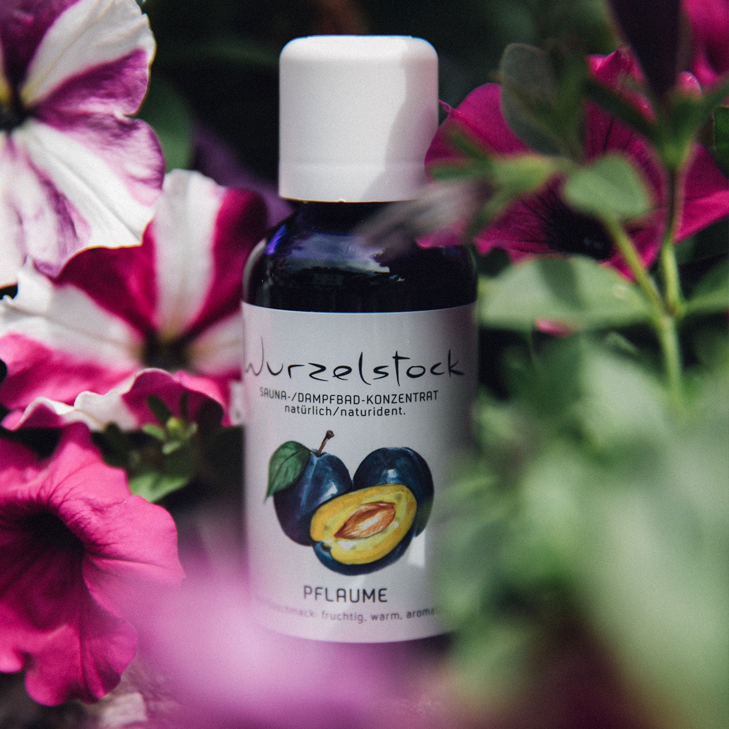 Aromaöl Pflaume
