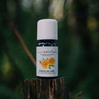 Ätherisches Öl Ringelblume