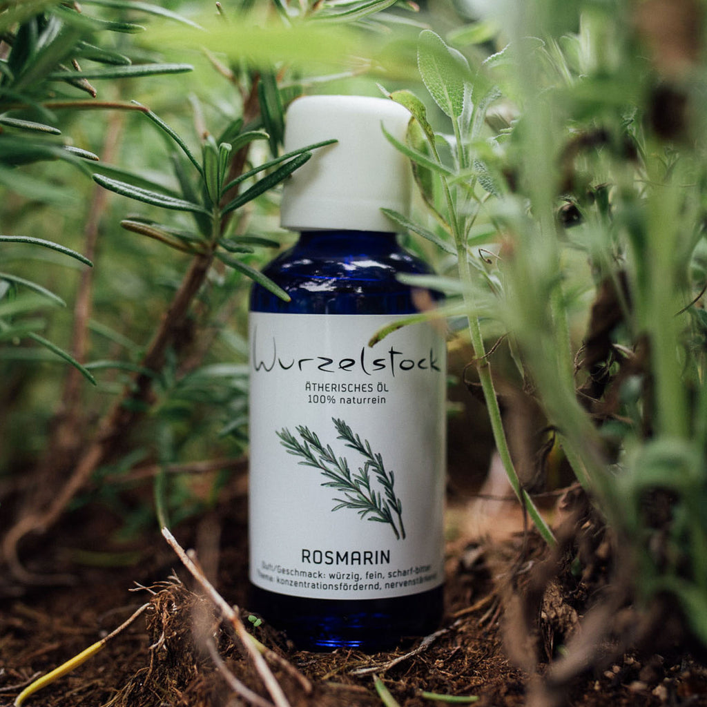 Ätherisches Öl Rosmarin
