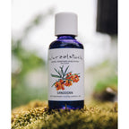 Aromaöl Sanddorn