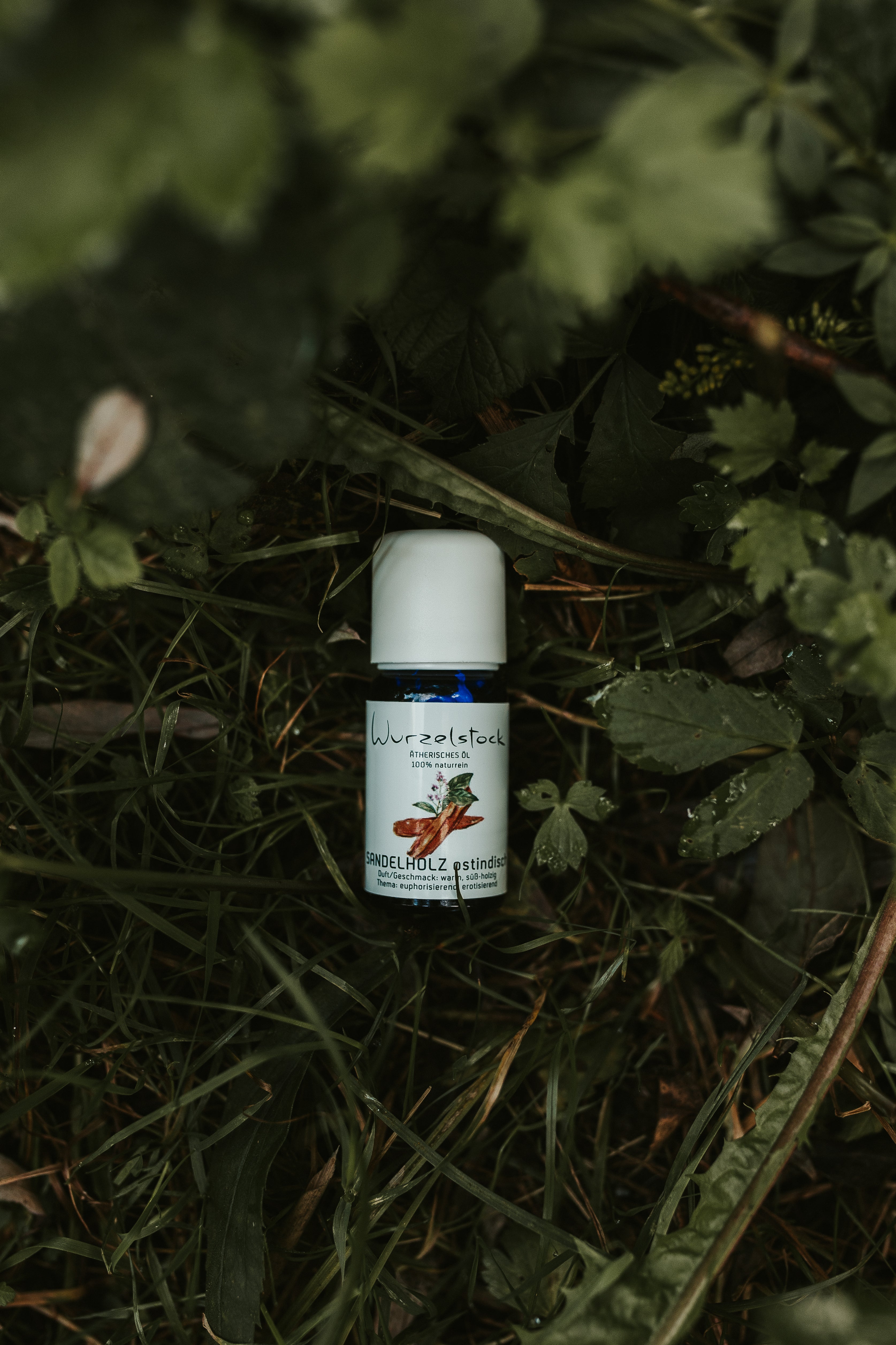 Ätherisches Öl Sandelholz ostindisch