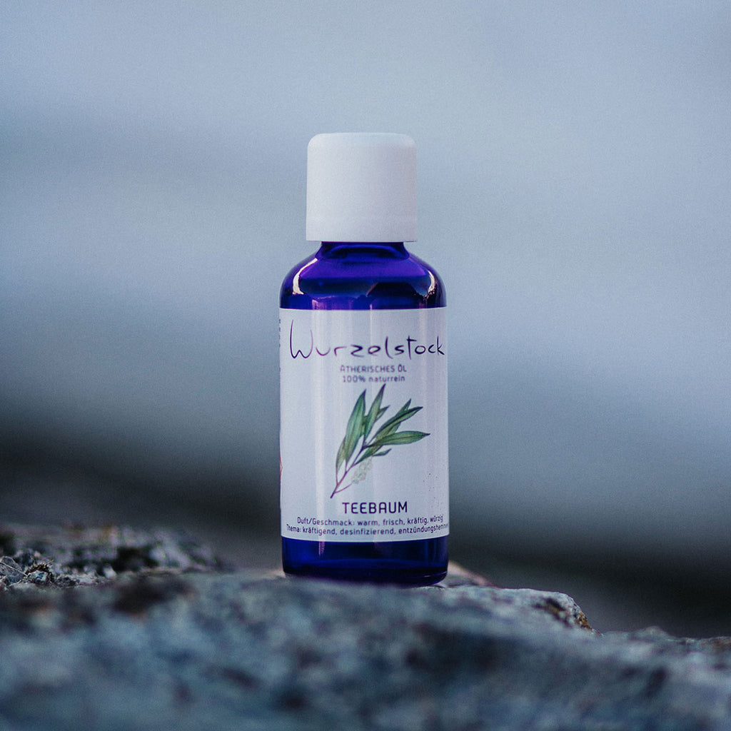 Ätherisches Öl Teebaum