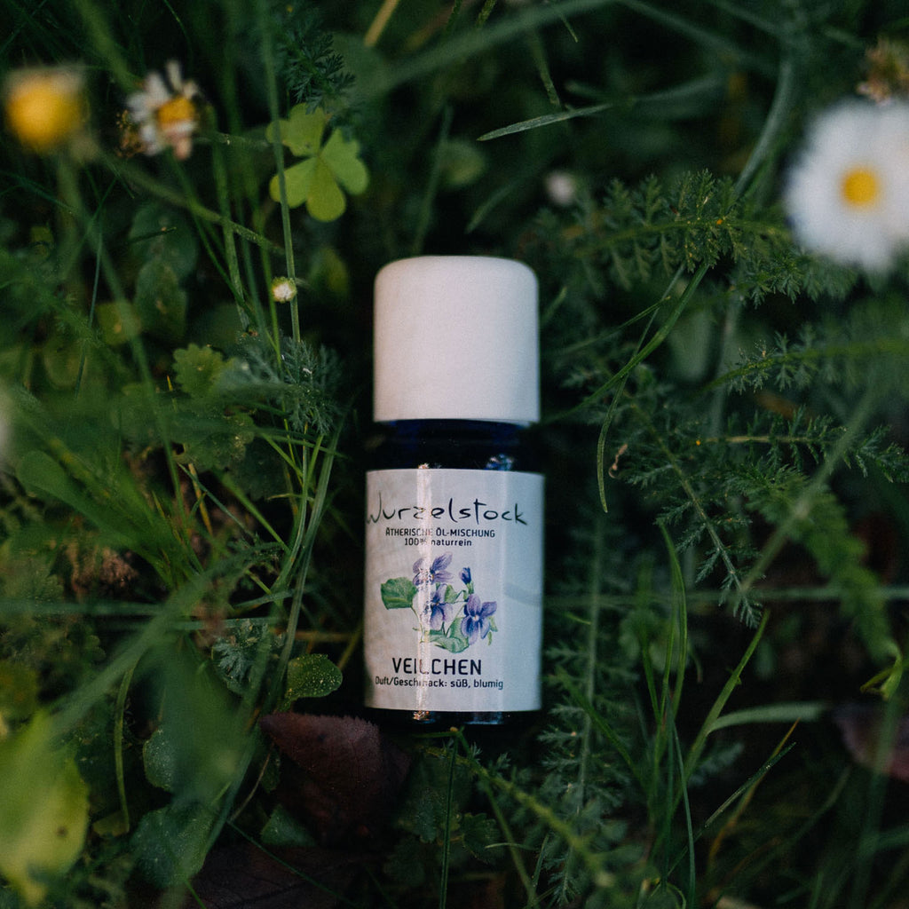 Ätherisches Öl Veilchen