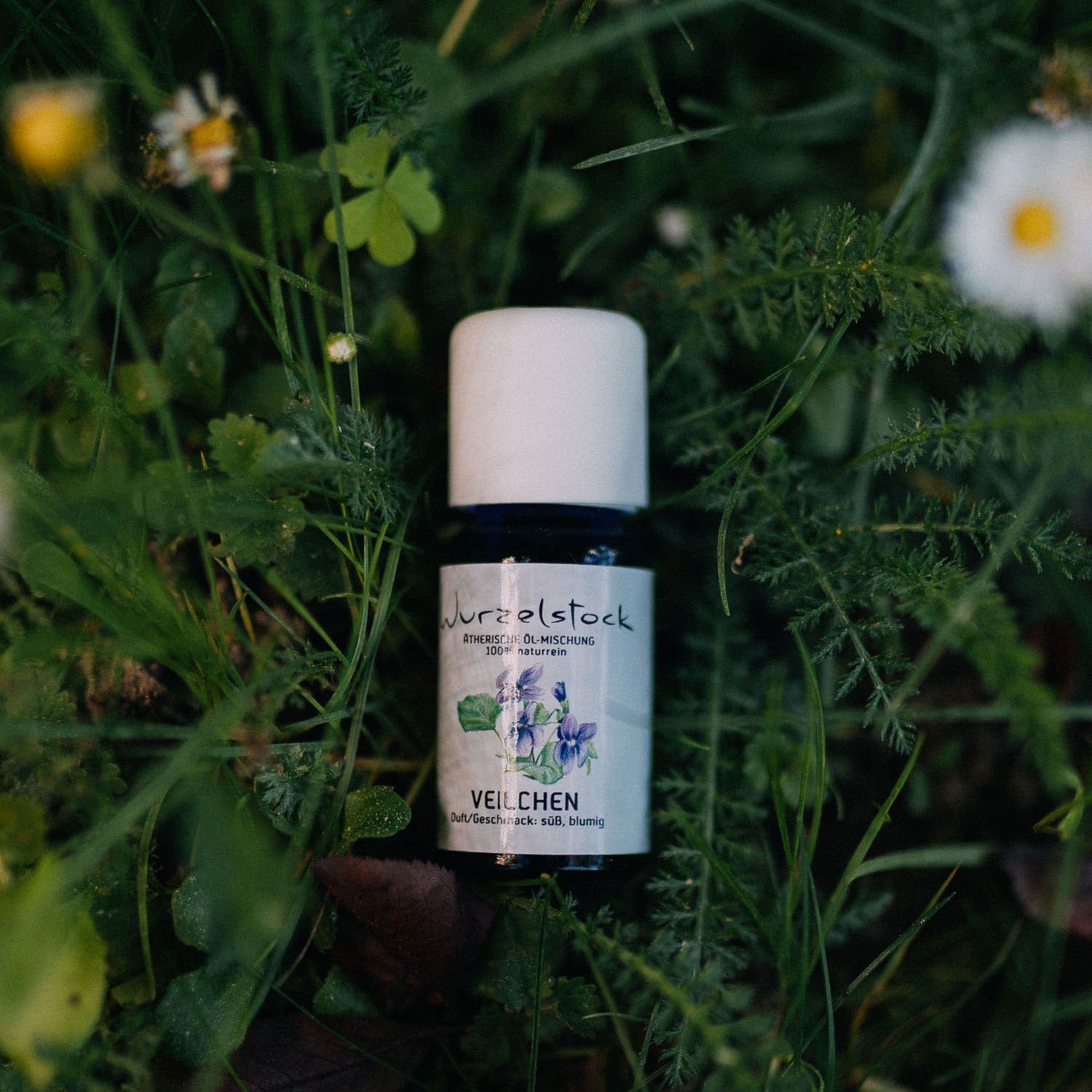 Ätherisches Öl Veilchen