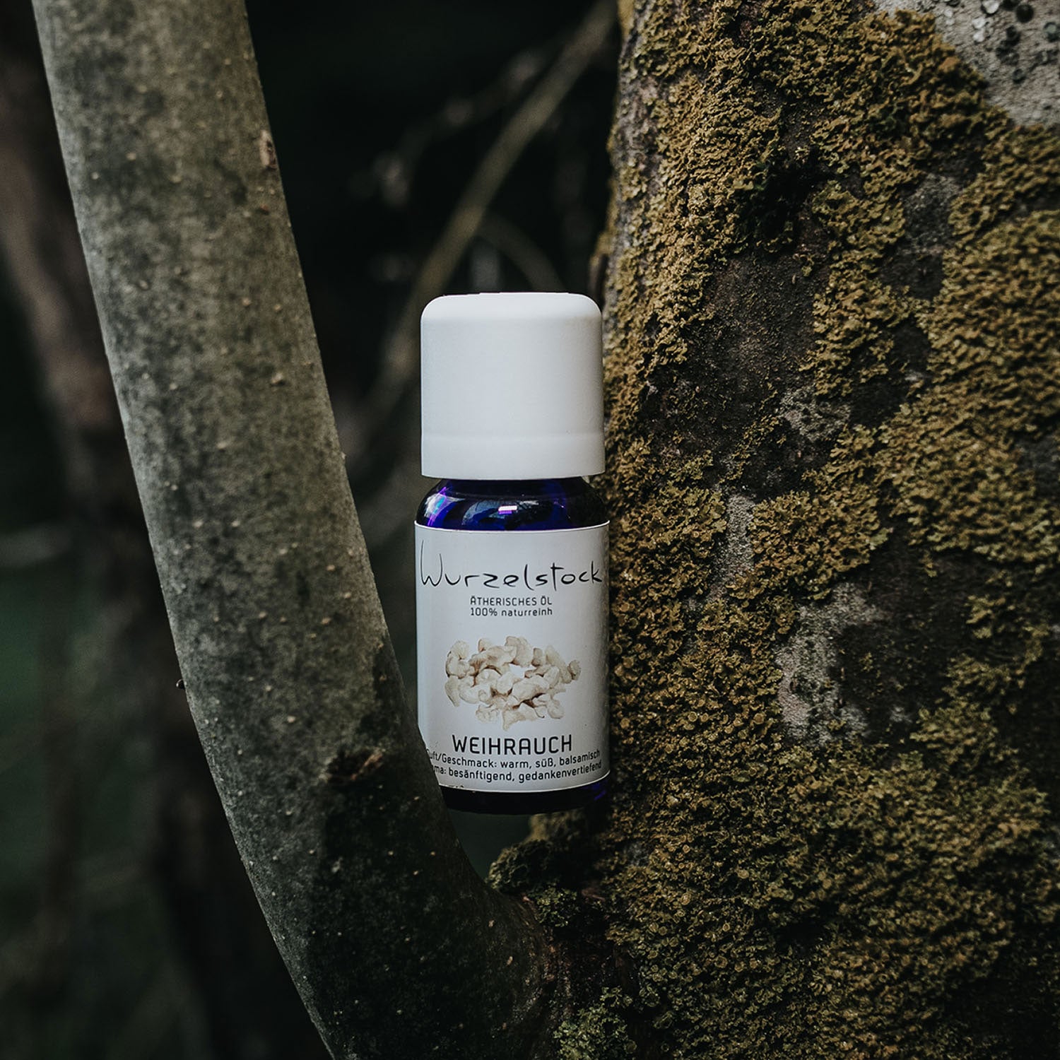 Ätherisches Öl Weihrauch