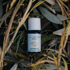 Ätherisches Öl Weihrauch