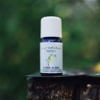 Ätherisches Öl Ylang Ylang