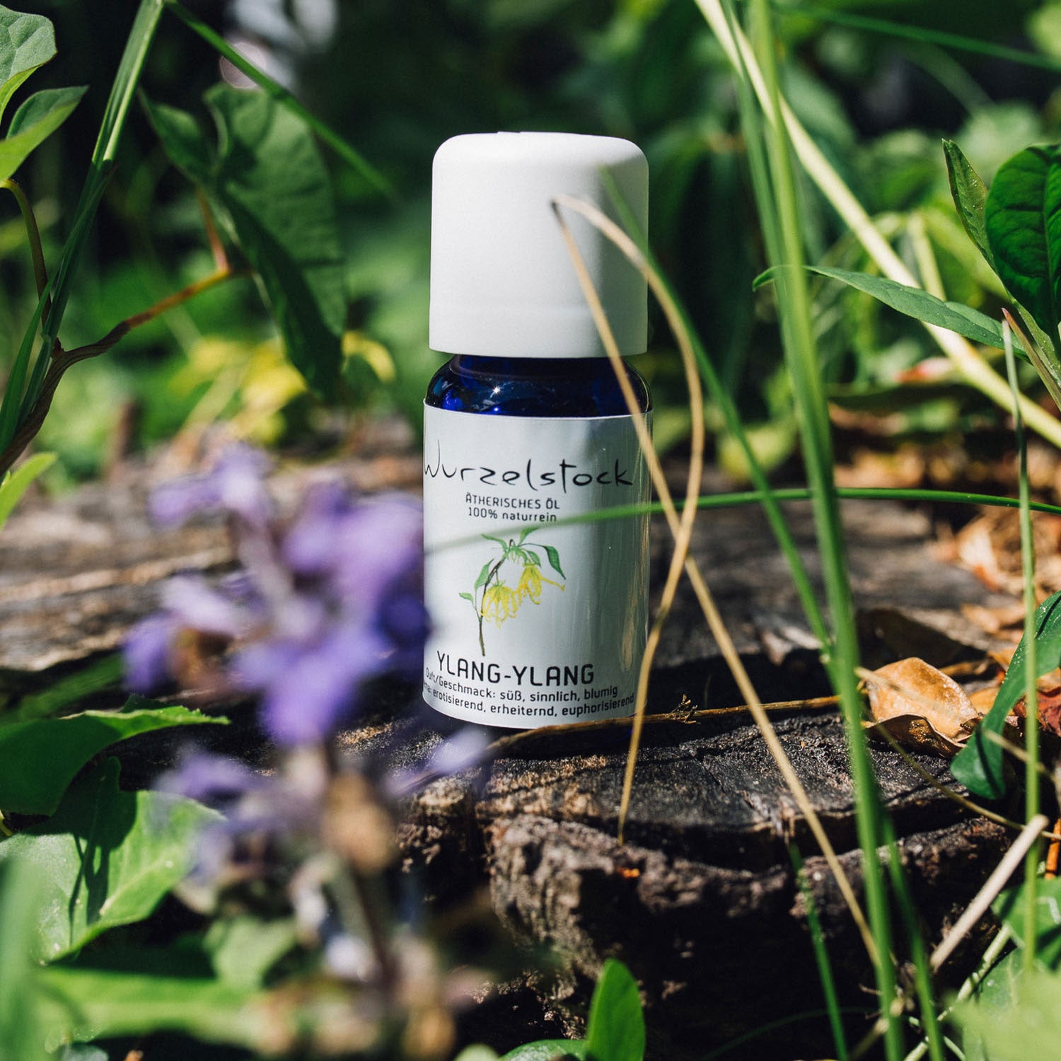 Ätherisches Öl Ylang Ylang