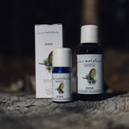 Ätherisches Öl Zeder atlas