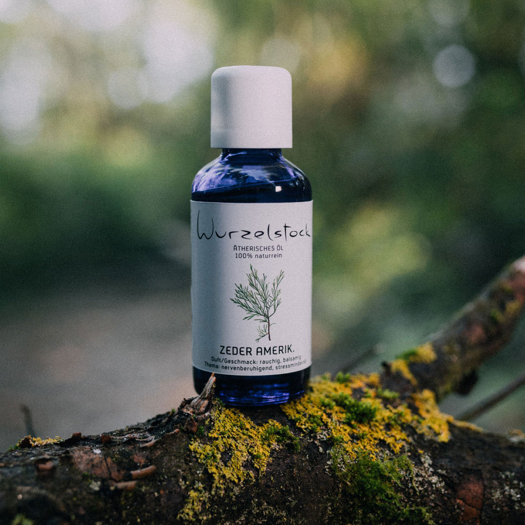 Ätherisches Öl Zeder amerikanisch