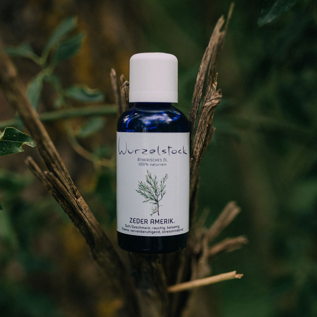 Ätherisches Öl Zeder amerikanisch