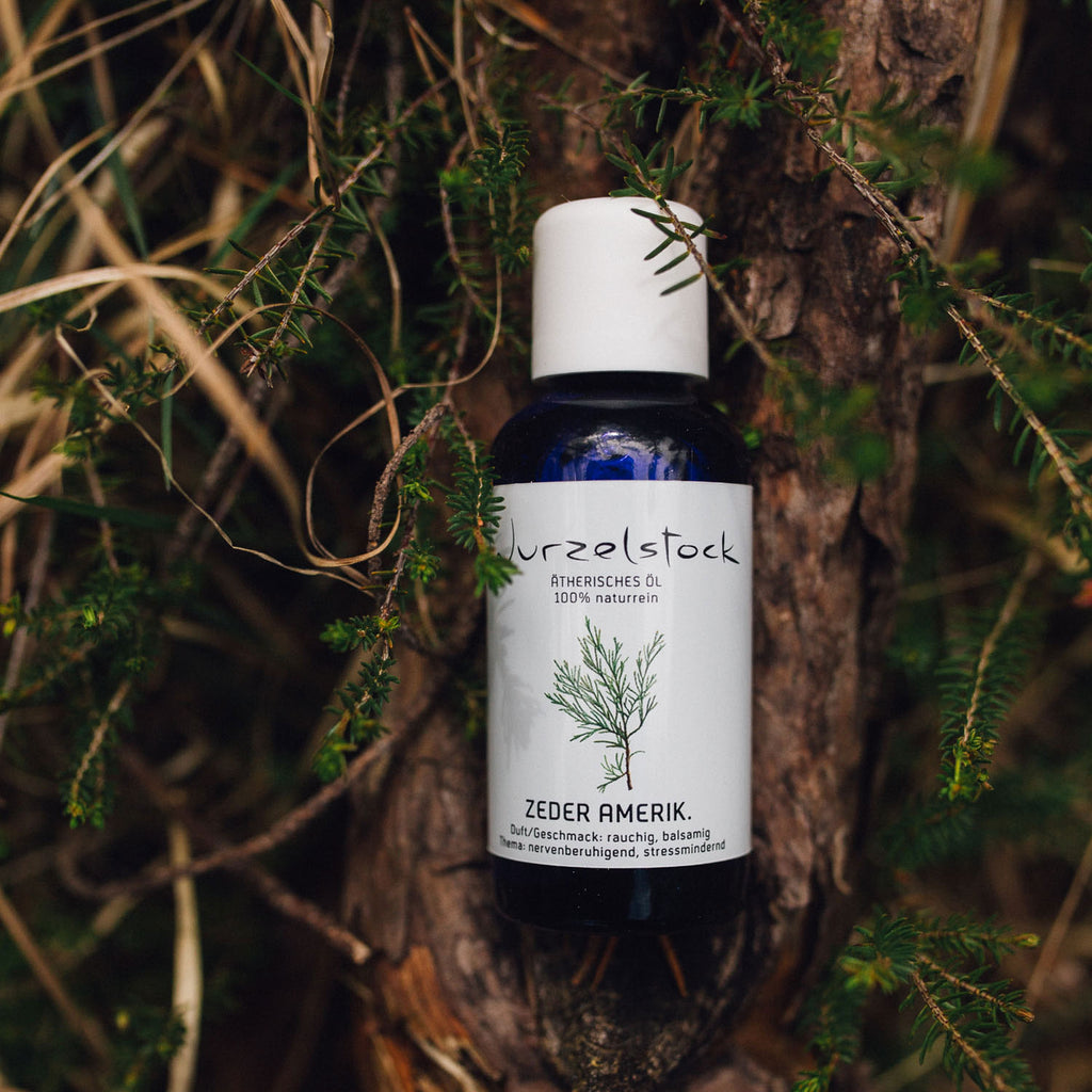 Ätherisches Öl Zeder amerikanisch