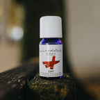 Ätherisches Öl Zimt