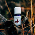 Ätherisches Öl Zimt