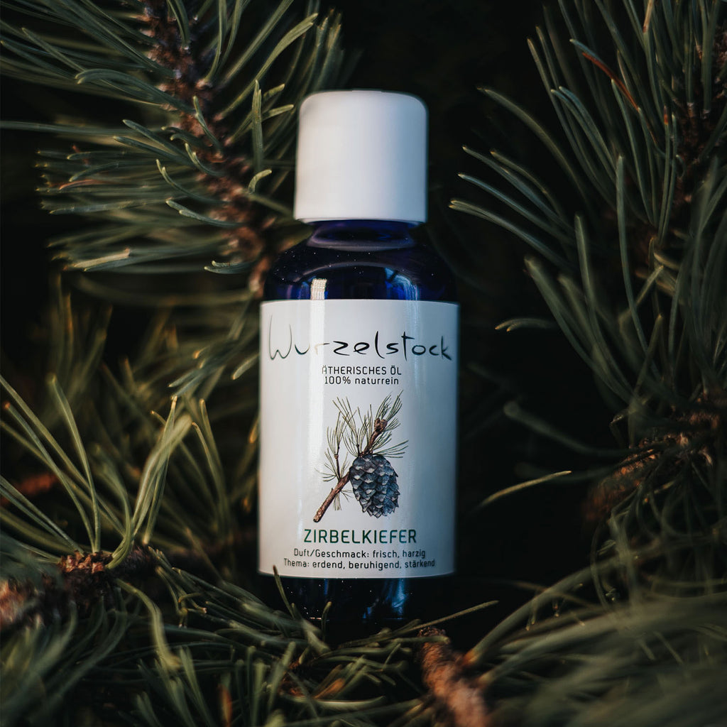 Ätherisches Öl Zirbelkiefer