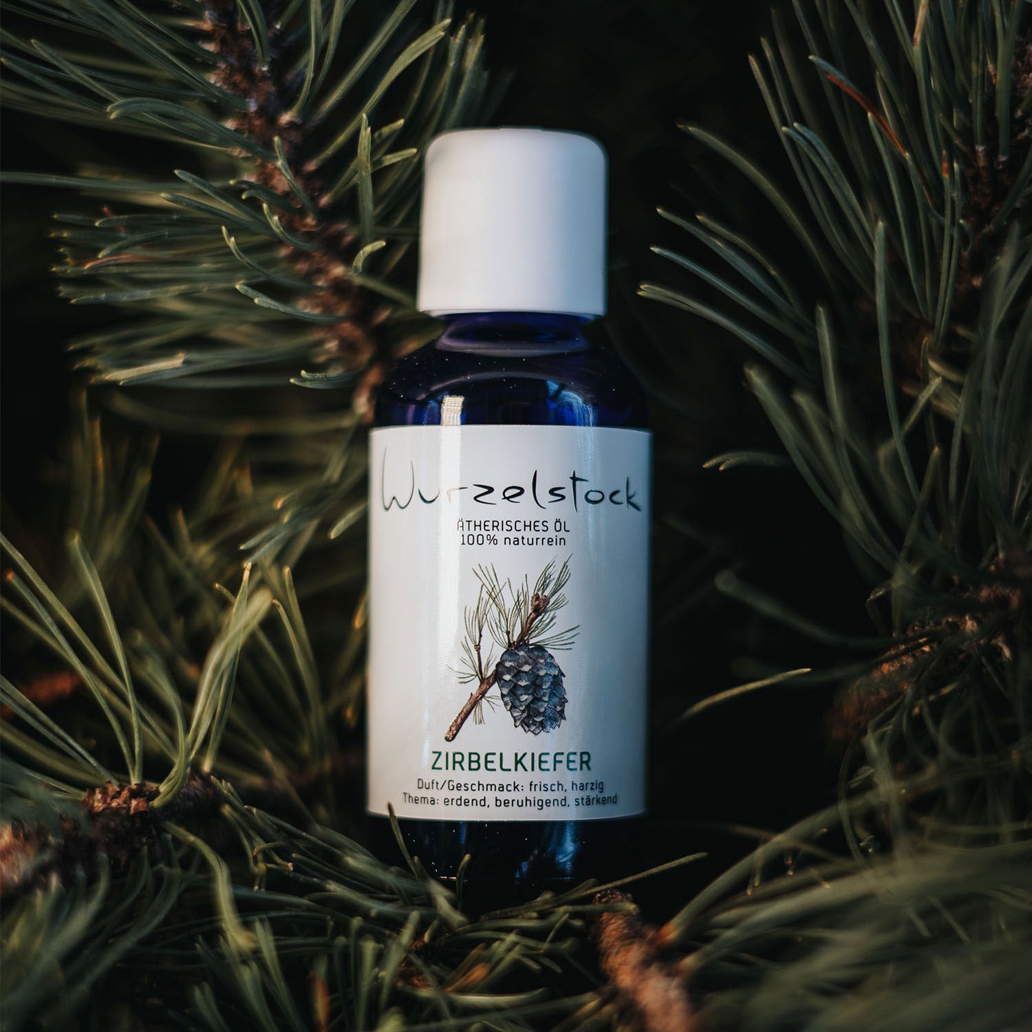 Ätherisches Öl Zirbelkiefer