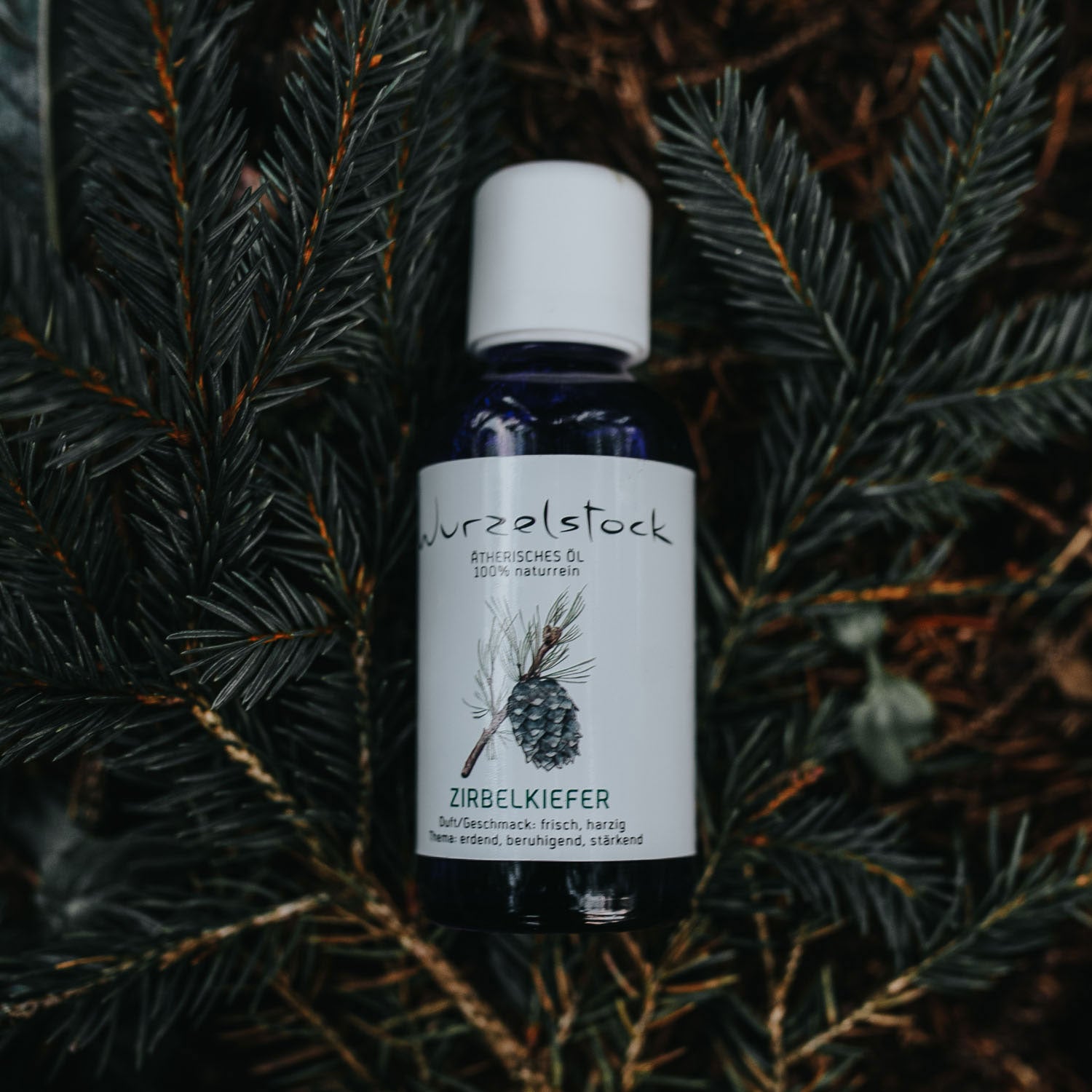 Ätherisches Öl Zirbelkiefer