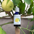 Ätherisches Öl Zitrone