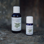 Ätherisches Öl Zypresse